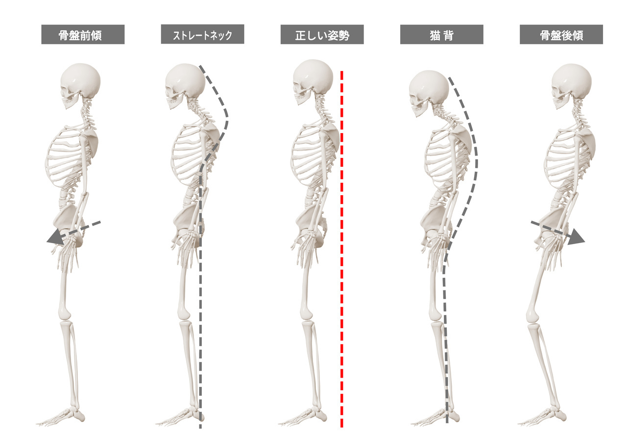 頸椎のイメージ画像