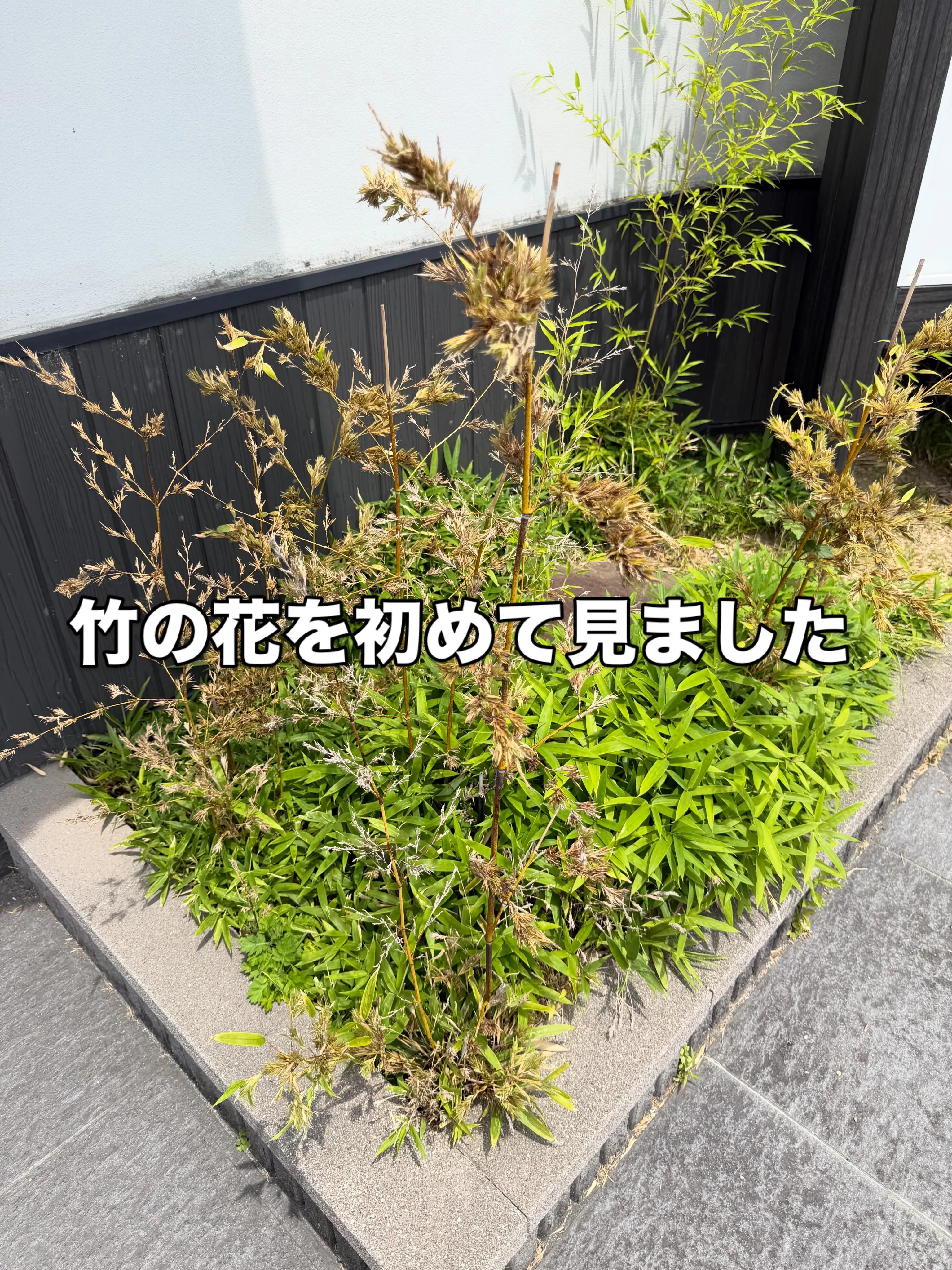 早食いが首こり・肩こりの原因に?おにぎりの日に見直したい「噛...
