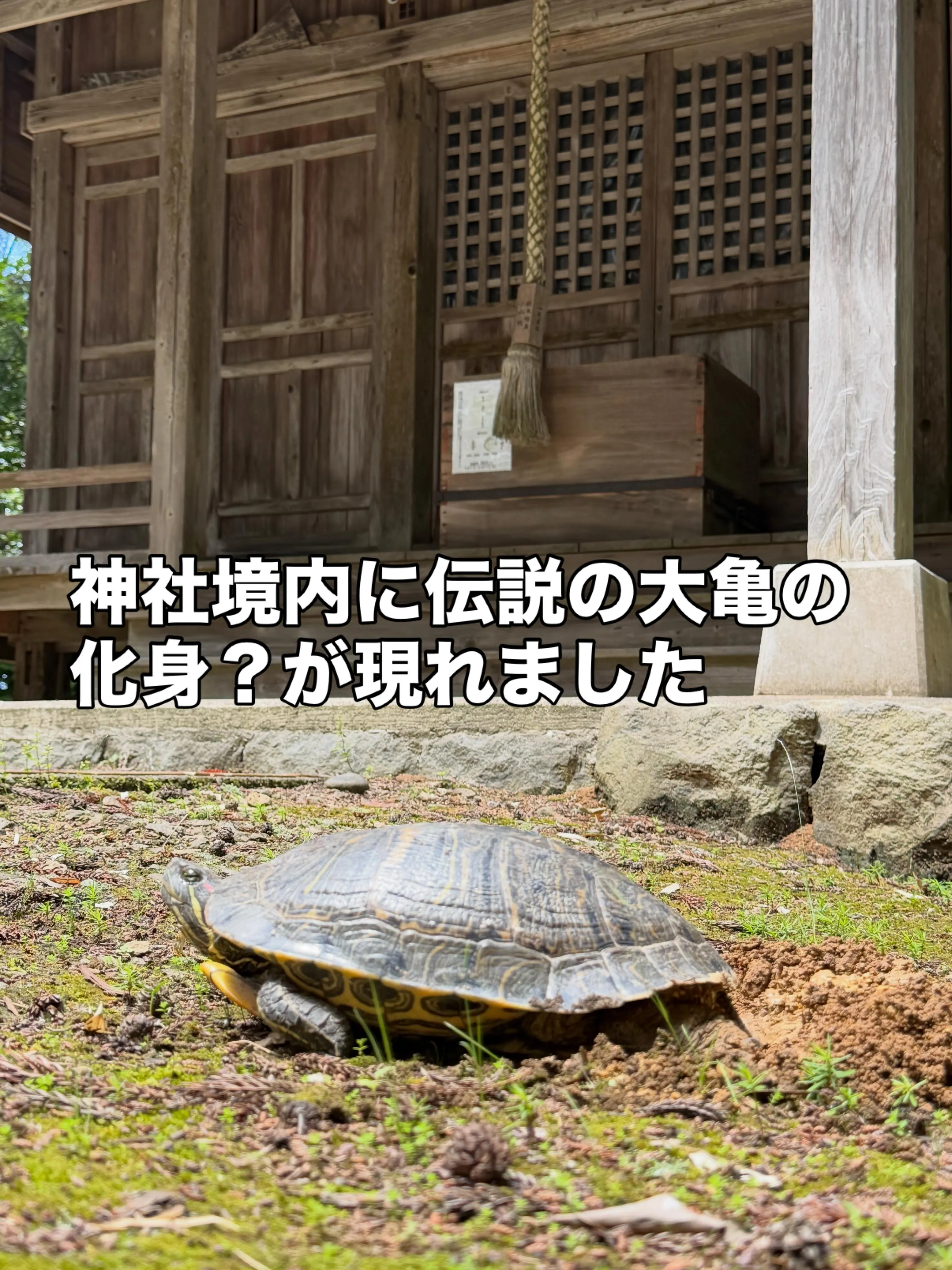 首肩こりは「順番」が大切|ドレミの日に見直したい首肩ケアのコ...
